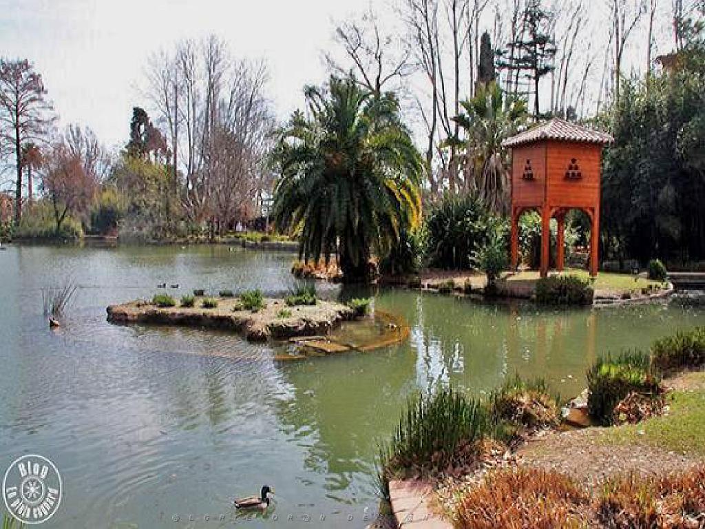 183 D35 PARC OLBIUS RIQUIER A HYERES_000051.jpg